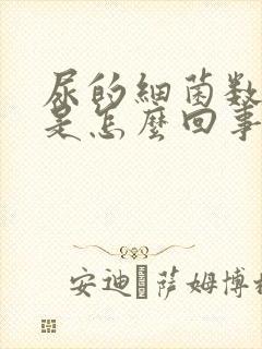 尿的细菌数量高是怎么回事