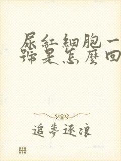 尿红细胞一个加号是怎么回事