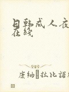 日韩成人夜视频在线