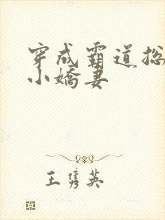 穿成霸道总裁的小娇妻