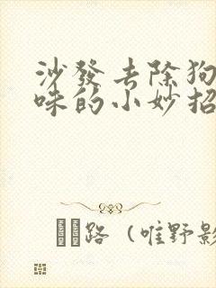 沙发去除狗尿骚味的小妙招