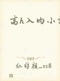 高h入肉小说