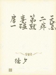 房事第二天阴道一碰就疼怎么回事