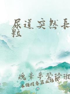 尿道突然长小肉粒