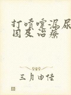 打喷嚏漏尿的原因及治疗