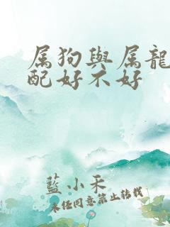 属狗与属龙的婚配好不好