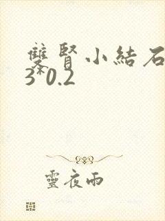 双肾小结石0.3*0.2