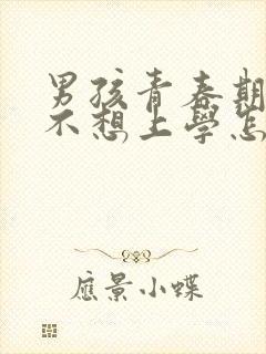 男孩青春期叛逆不想上学怎么办