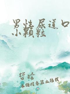 男性尿道口长一小颗粒