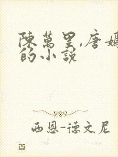 陈万里,唐嫣然的小说