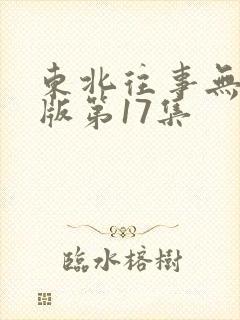 东北往事无删减版第17集