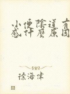 小便阴道有刺痛感什么原因