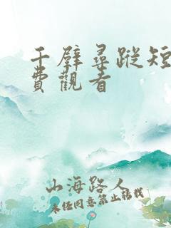 千壁寻踪短剧免费观看