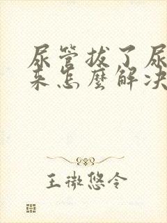 尿管拔了尿不出来怎么解决