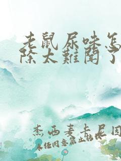 老鼠尿味怎么去除太难闻了