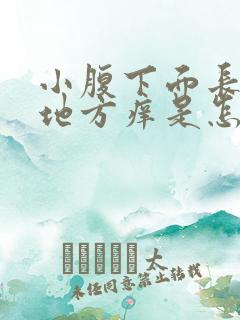 小腹下面长毛的地方痒是怎么回事