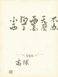 小狗两天不吃东西了怎么办