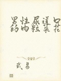 男性尿道口长长的肉粒菜花状