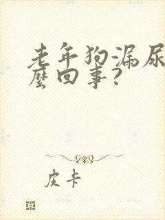 老年狗漏尿是怎么回事?