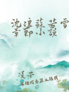 沈浪苏若雪最新章节小说