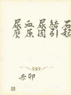 尿血尿结石是什么原因引起的