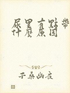 尿里有点带血是什么原因