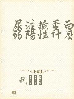 尿液检查白细胞弱阳性什么意思