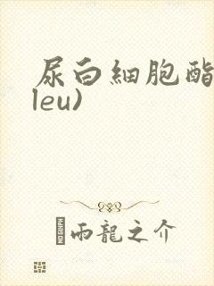 尿白细胞酯酶(leu)