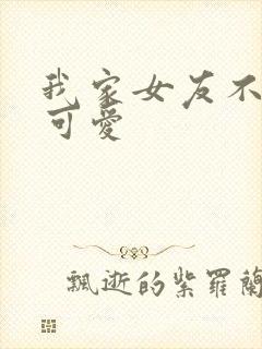 我家女友不只是可爱