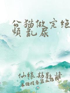 公猫做完绝育尿频 乱尿