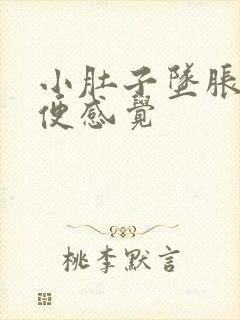 小肚子坠胀有排便感觉