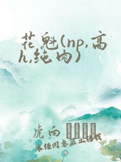 花魁(np,高h,纯肉)