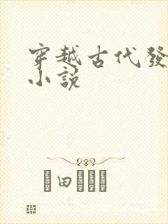 穿越古代发老婆小说