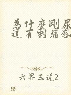 为什么刚尿完尿道有刺痛感