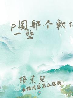 p图那个软件好一些