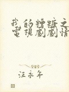 我的糟糠之妻 电视剧剧情介绍