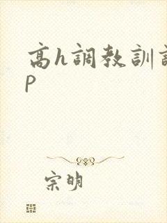 高h调教训诫sp