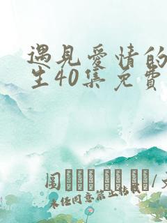 遇见爱情的利先生40集免费播放