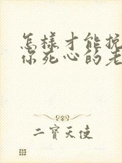 怎样才能挽回对你死心的老婆