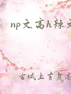np文高h辣文