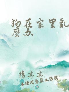 狗在家里乱尿怎么办