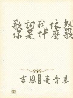 歌词我依然在等你是什么歌