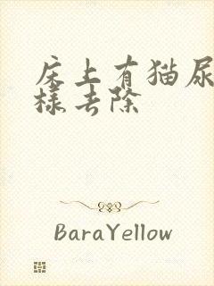 床上有猫尿味怎样去除