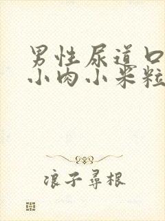 男性尿道口长了小肉小米粒