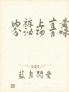 内裤上有黄黄的分泌物有味道是怎么回事