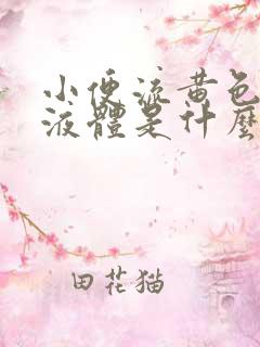 小便流黄色粘稠液体是什么