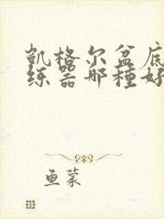 凯格尔盆底肌训练器哪种好