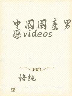 中国国产男同性恋videos