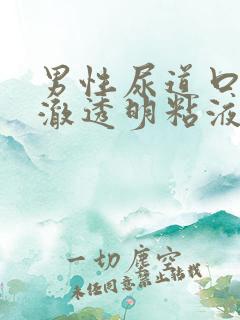 男性尿道口有清澈透明粘液