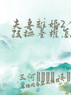 夫妻离婚2个小孩抚养权怎么判